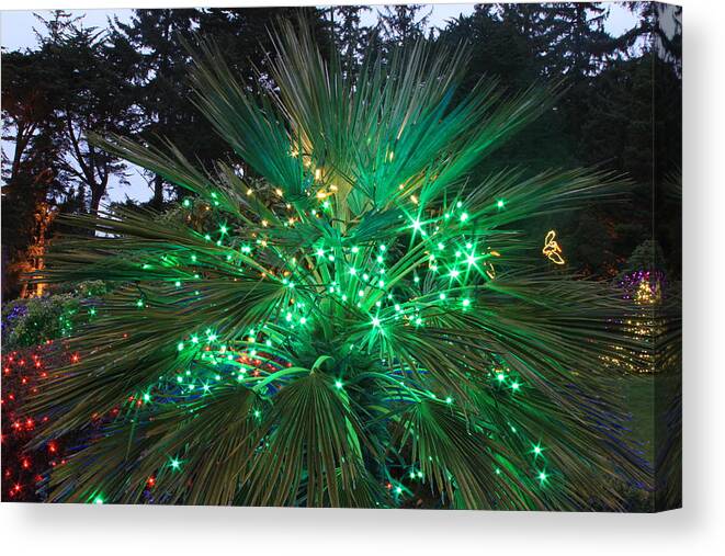 Christmas Canvas Print featuring the photograph Lighting In The Greens by Laddie Halupa