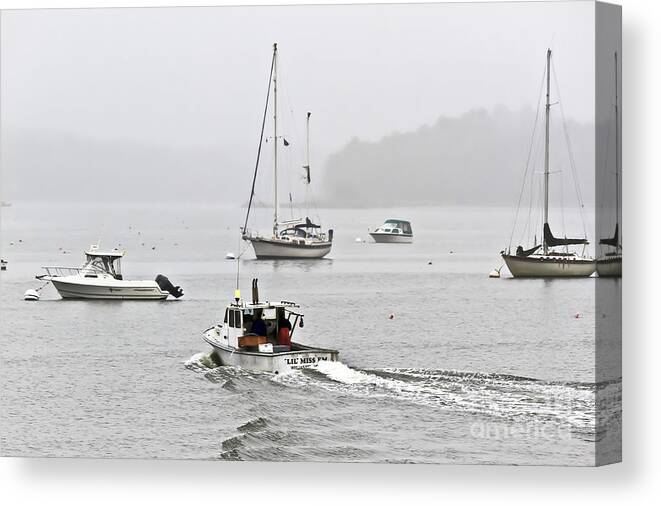 Maine Canvas Print featuring the photograph Lil Miss Em by Brenda Giasson