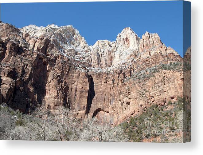 Zion National Park Canvas Print featuring the photograph Looking Up by Bob and Nancy Kendrick