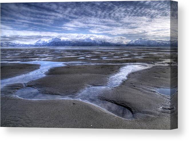 Beach Canvas Print featuring the photograph Low Tide by Michele Cornelius