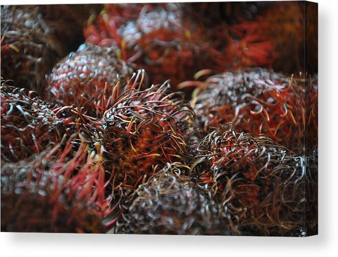 Lychee Canvas Print featuring the photograph Lychee Fruit 1 by Frank Mari