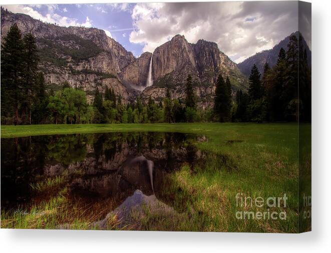 Cooks Meadow Canvas Print featuring the photograph Majestic Reflections by Sue Karski