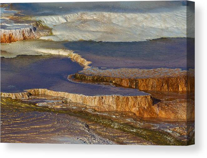 Usa Canvas Print featuring the photograph Mammoth Hot Springs by Johan Elzenga