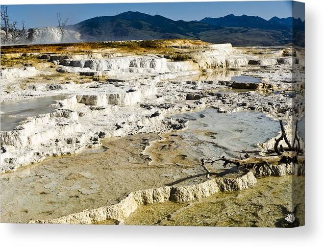 Yellowstone National Park Canvas Print featuring the photograph Mammoth Hot Springs Terraces by Jon Berghoff