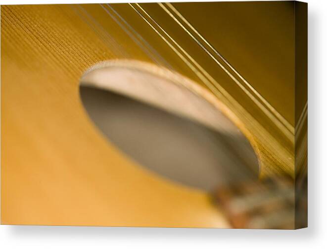 Musical Canvas Print featuring the photograph Mandolin Core by C Ribet