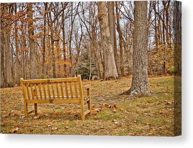 Meditate Canvas Print featuring the photograph Meditation At Valley Forge by Trish Tritz