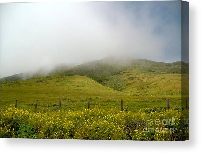 Coastal Fog Of Big Sur Coast Yellow Hills Photograph Canvas Print featuring the photograph Mist of the Hills by Johanne Peale