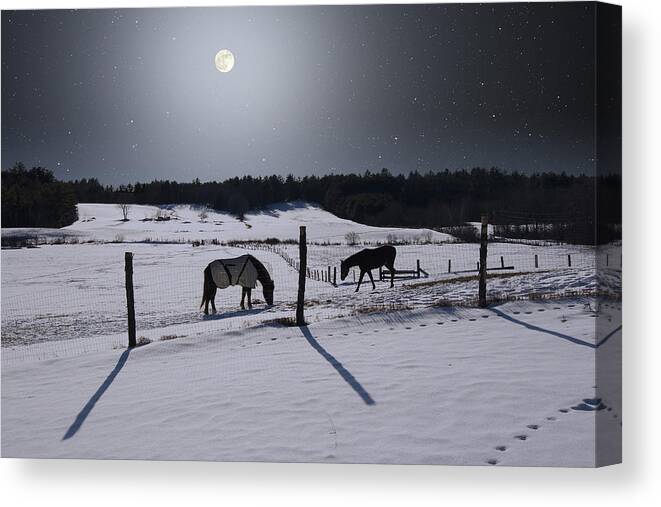 Astronomy Canvas Print featuring the photograph Moonlit Horses by Larry Landolfi