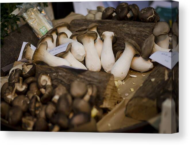 Mushroom Canvas Print featuring the photograph Mushrooms at the Market by Heather Applegate