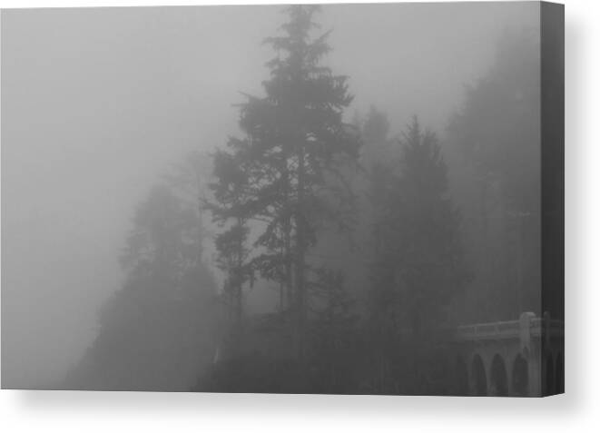 Fog Canvas Print featuring the photograph Mystery In The Trees by KATIE Vigil