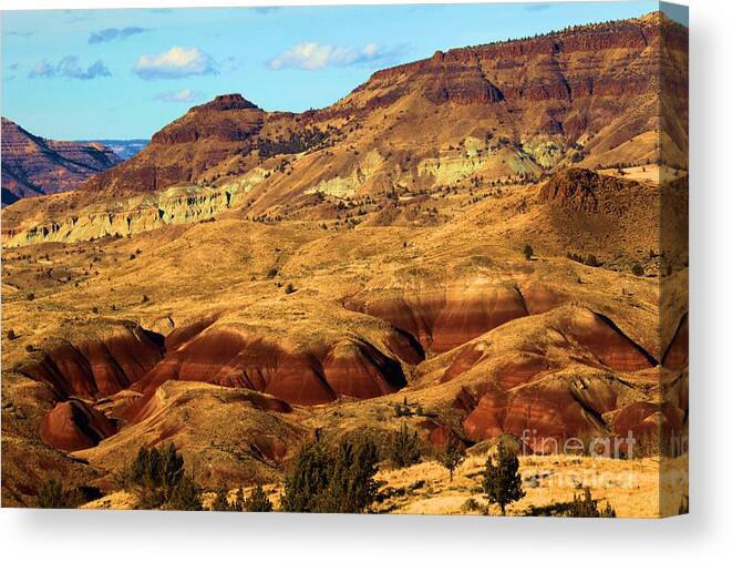 John Day Fossil Beds National Monument Canvas Print featuring the photograph Natures Art by Adam Jewell