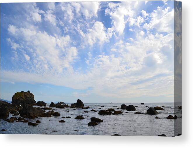 Ocean Canvas Print featuring the photograph Northern California Coast1 by Zawhaus Photography