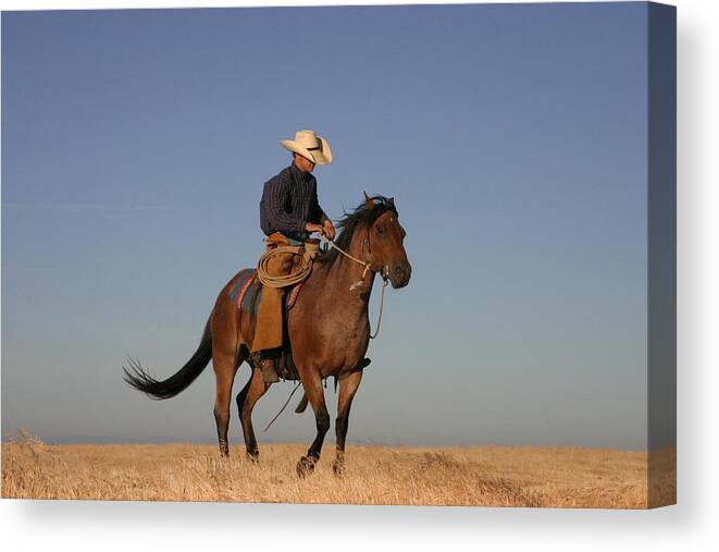 Cowboy Canvas Print featuring the photograph Ol Chilly Pepper by Diane Bohna