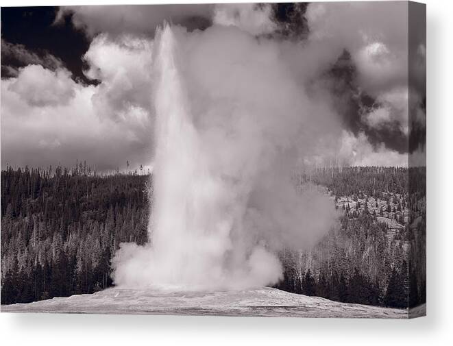 Old Canvas Print featuring the photograph Old Faithful Yellowstone BW by Steve Gadomski