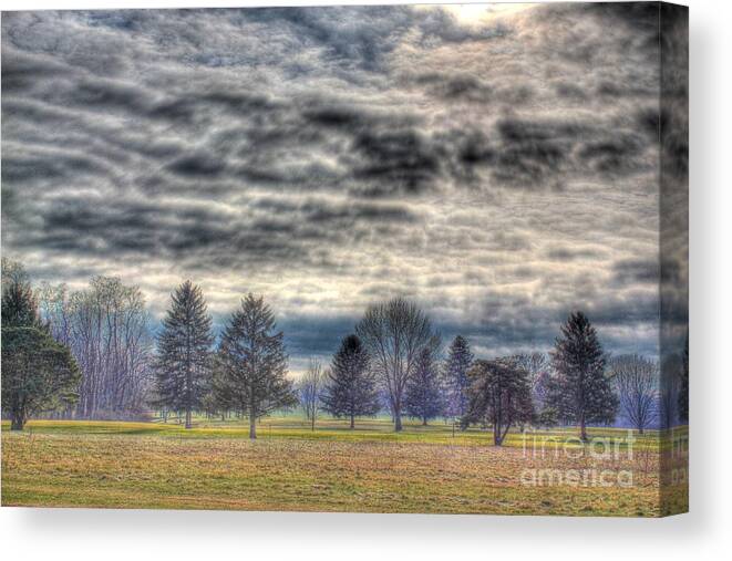 Tree Canvas Print featuring the photograph Ominous Skies at the Park by Jeremy Lankford