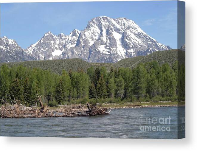 Grand Tetons Canvas Print featuring the photograph On The Snake River by Living Color Photography Lorraine Lynch