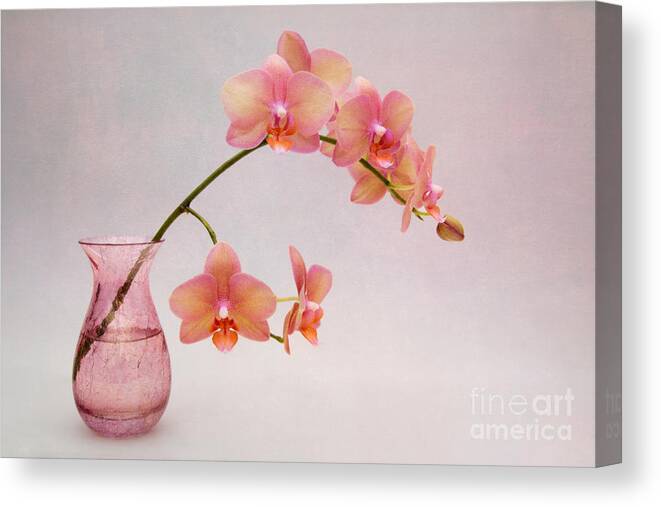Orchid Canvas Print featuring the photograph Orchids in a Pink Vase by Ann Garrett
