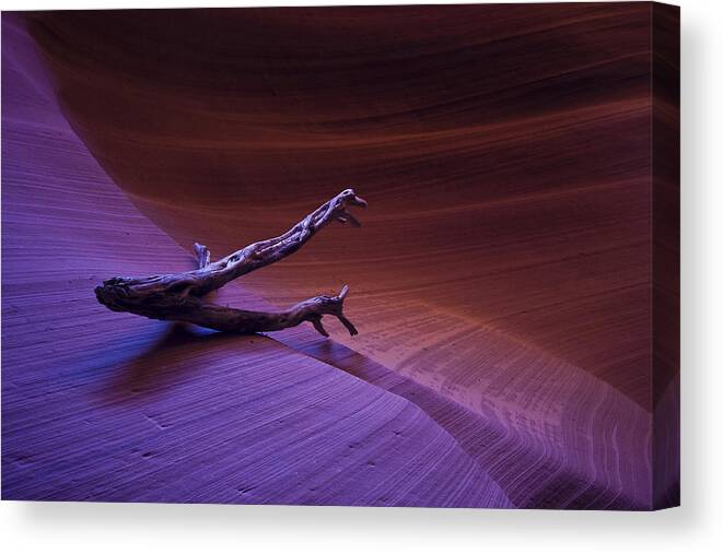 Canyon Canvas Print featuring the photograph Organic Tripod by Andy Bitterer