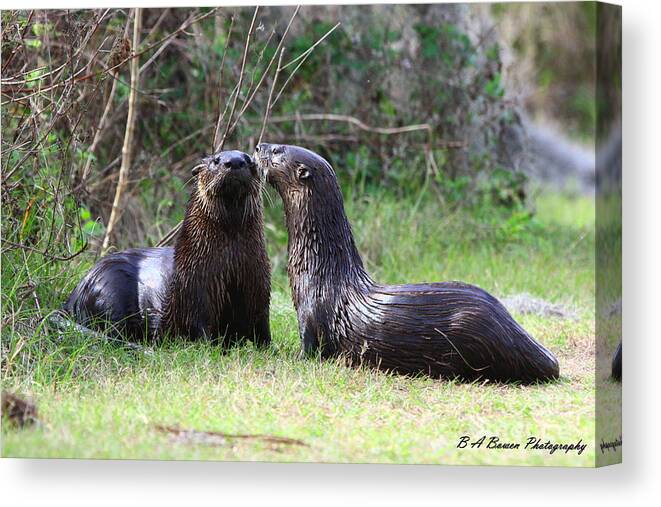 Otter Canvas Print featuring the photograph Otter Buddies by Barbara Bowen