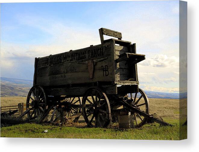 Barnwood Canvas Print featuring the photograph Painted Wagon by Steve McKinzie