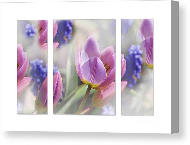 Flower Canvas Print featuring the photograph Pastel Florals by Elaine Manley