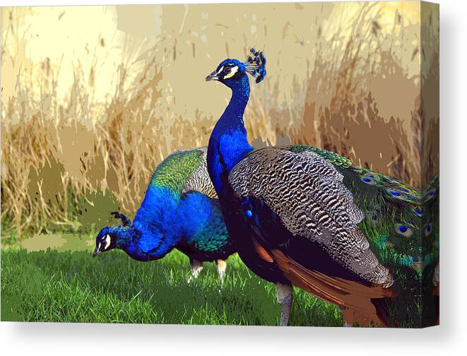 Peacock Canvas Print featuring the digital art Peacock by Andrew Dinh
