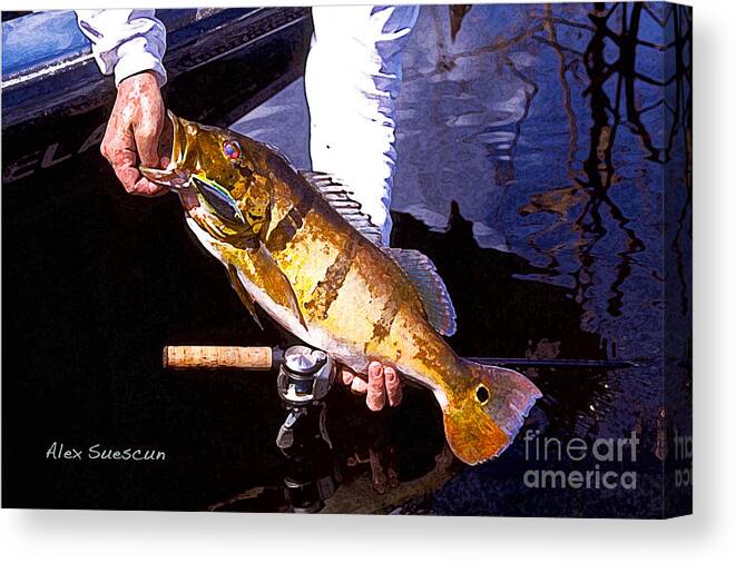 Bass Canvas Print featuring the painting Peacock Rattler A by Alex Suescun