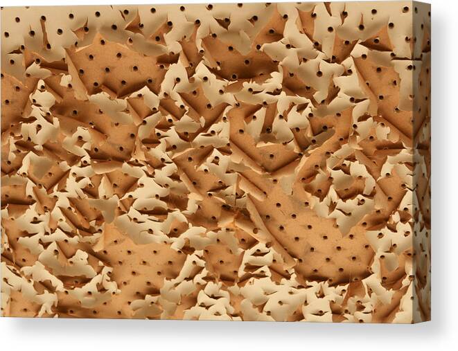  Outback Canvas Print featuring the photograph Pegboard Ceiling by Jan Lawnikanis