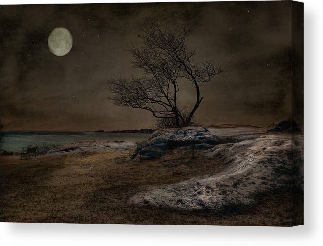 Full Moon Canvas Print featuring the photograph Phoenix Moon by Robin-Lee Vieira