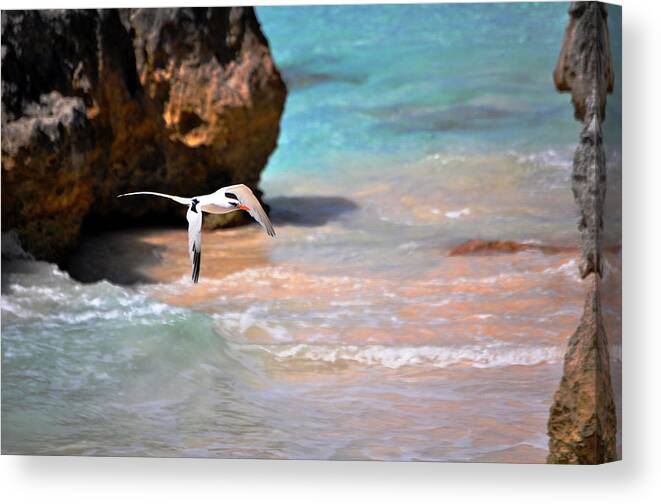 Pink Canvas Print featuring the photograph Pink Shores by Jessica Terra