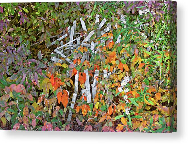 Fall Canvas Print featuring the painting Poison Ivy and Pickets by Peter J Sucy