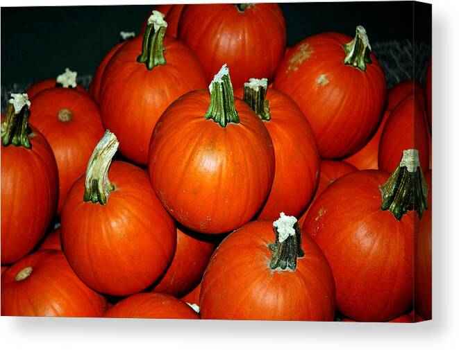 Food And Beverage Canvas Print featuring the photograph Pumpkins for Sale by LeeAnn McLaneGoetz McLaneGoetzStudioLLCcom