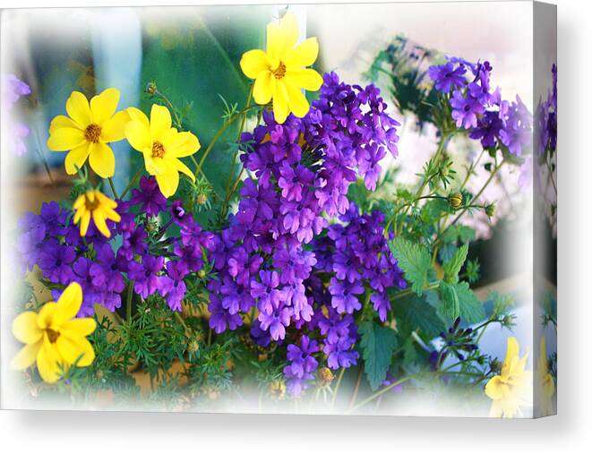 Bright Canvas Print featuring the photograph Purple and Yellow Delight by Liz Evensen