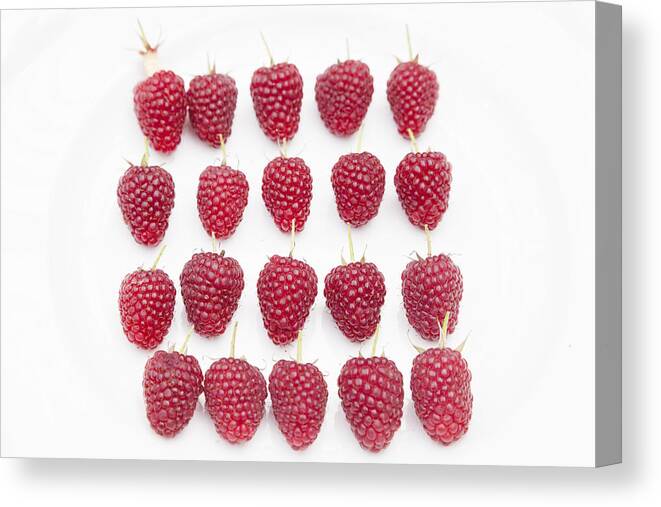 Fruits Canvas Print featuring the photograph Raspberry Formation by Maj Seda