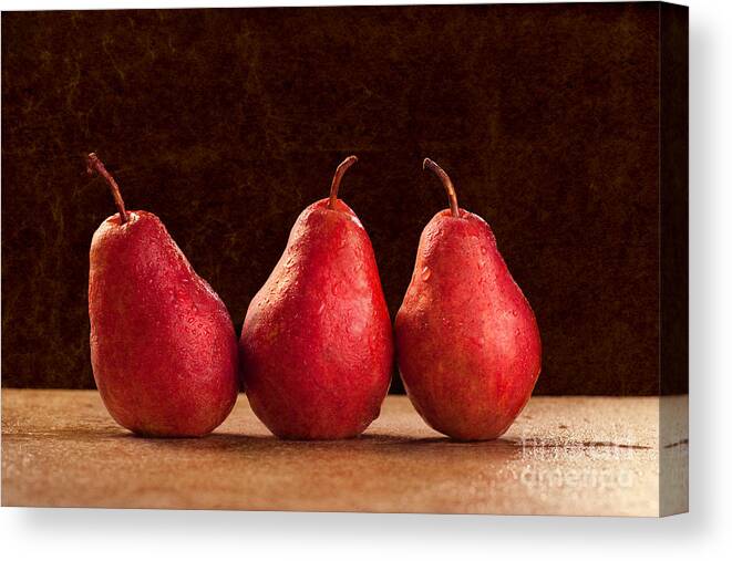 Pear Canvas Print featuring the photograph Red Pears by Cindy Singleton