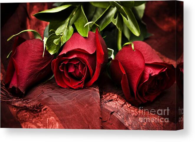 Romantic Canvas Print featuring the photograph Red Red Rose by Stephanie Frey