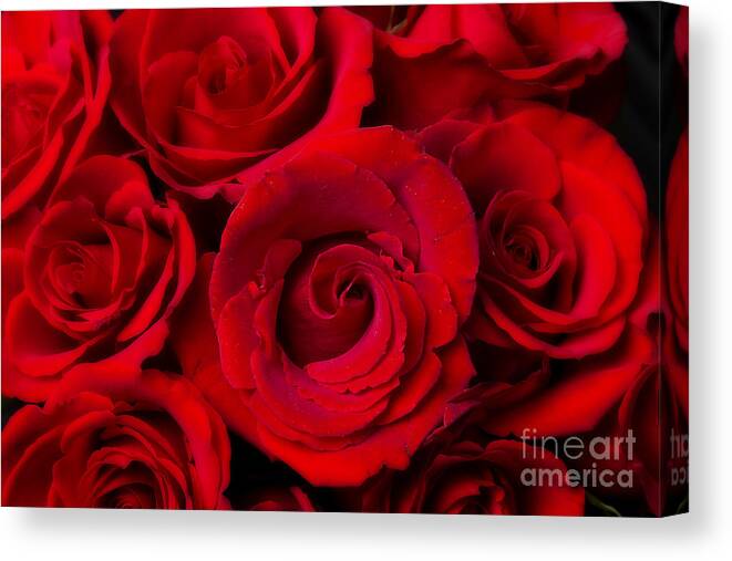 Anniversary Canvas Print featuring the photograph Red Rose Bouquet Dream by James BO Insogna