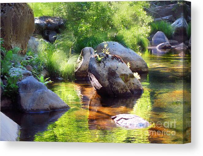 Deer Creek Canvas Print featuring the digital art Reflecting Ferns by Lisa Redfern