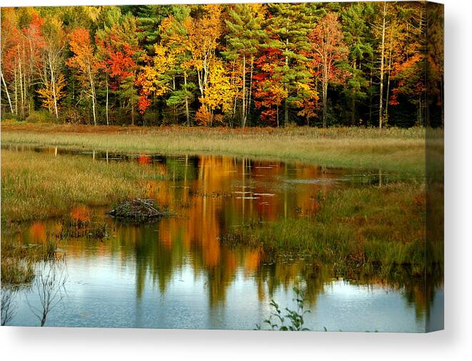 Autumn Canvas Print featuring the photograph Reflections by Cathy Kovarik