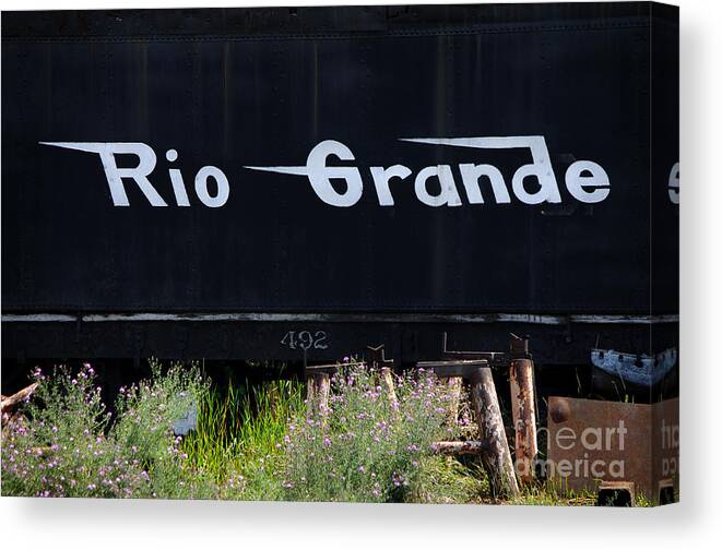 Photograph Canvas Print featuring the photograph Rio Grande by Vicki Pelham