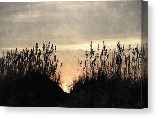 Dunes Canvas Print featuring the photograph Rise Between The Dunes by Kim Galluzzo Wozniak