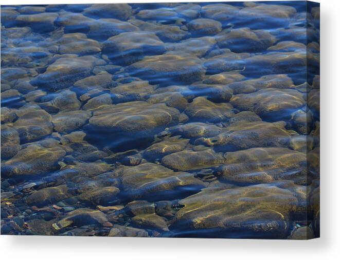  Canvas Print featuring the photograph Riverbed by Joi Electa