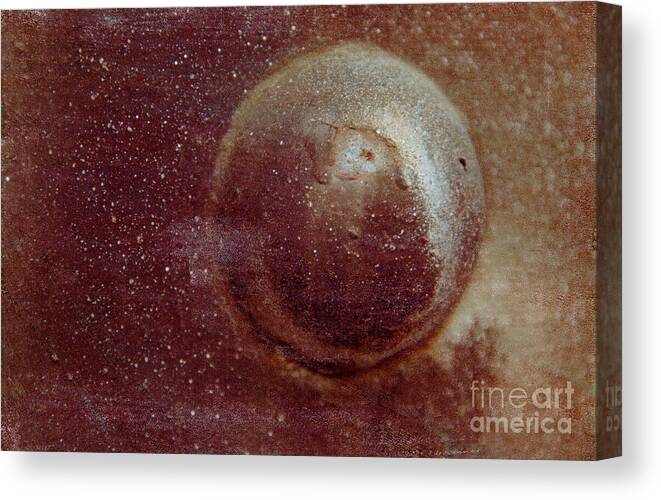 Planet Canvas Print featuring the photograph Riveting by Bob Senesac