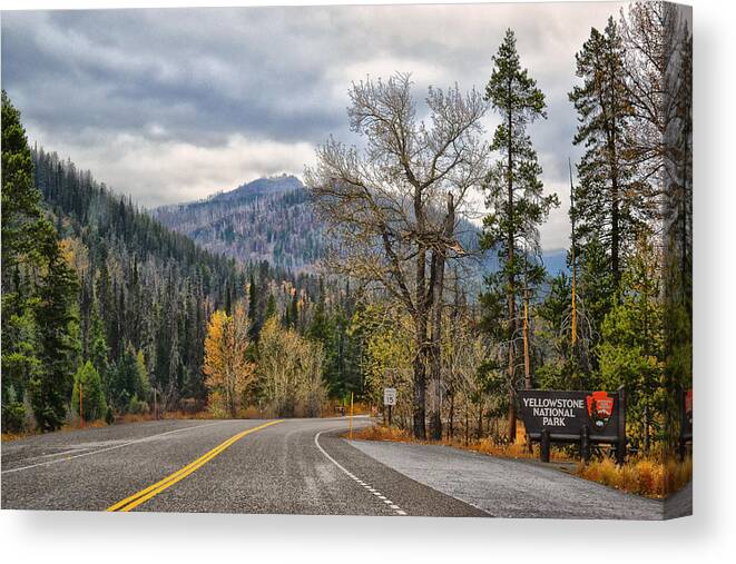 Yellowstone National Park Canvas Print featuring the photograph Rolling Into Yellowstone by Kelly Reber
