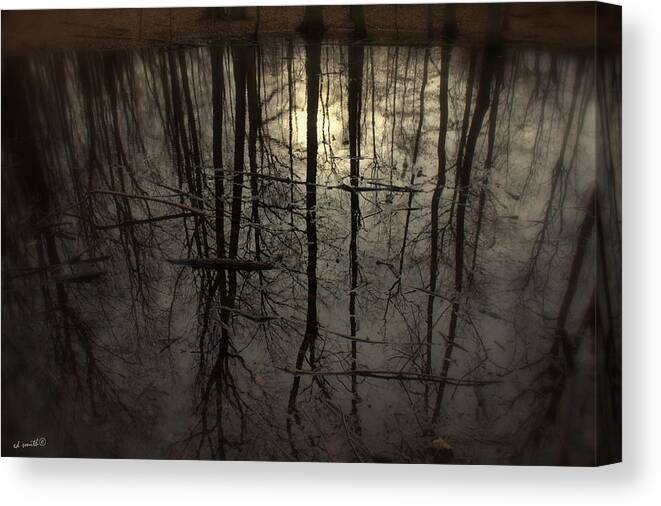 Roots Canvas Print featuring the photograph Roots by Edward Smith