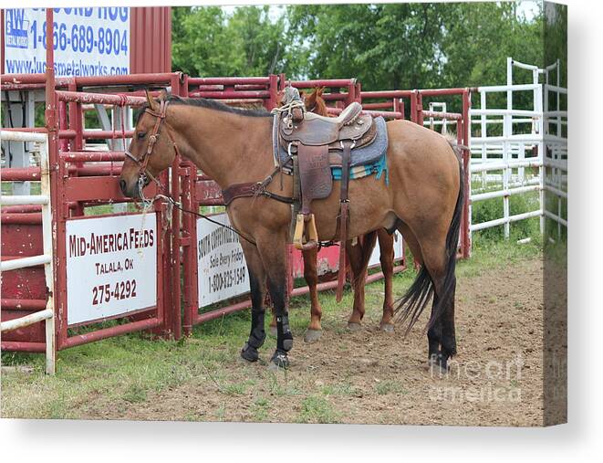 Horse Canvas Print featuring the photograph Roping Horse by Sheri Simmons