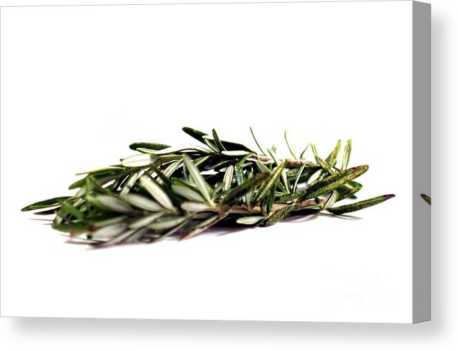 Aroma Canvas Print featuring the photograph Rosemary by Henrik Lehnerer