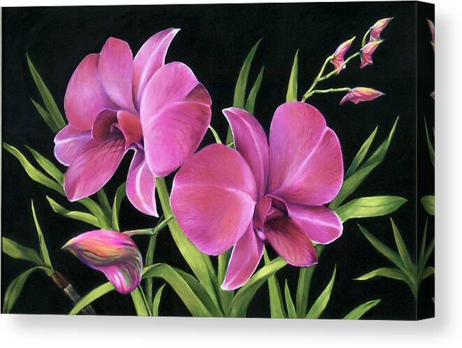 Phalaenopsis Canvas Print featuring the painting Royal Pink Orchids by Nancy Tilles