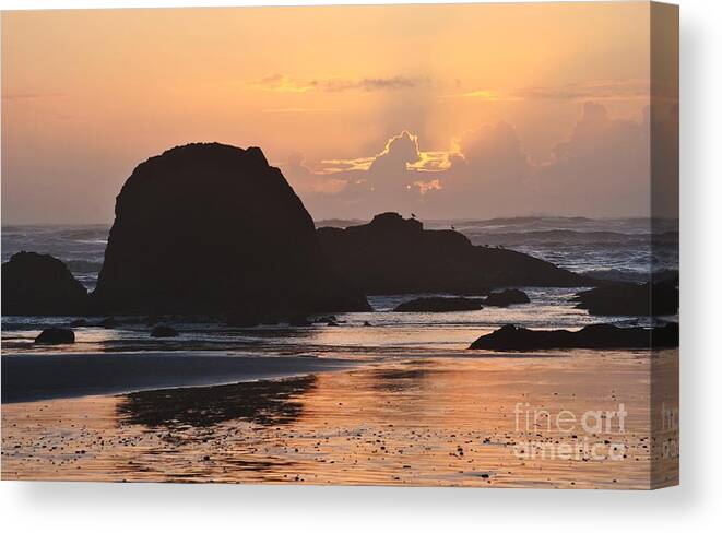 Beach Canvas Print featuring the photograph Ruby Beach Sunset by Frank Larkin