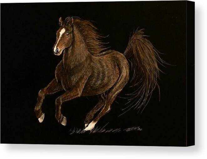Horse Canvas Print featuring the mixed media Running Wild by Jennifer Jeffris